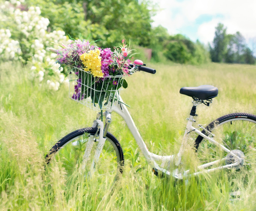 Rower na łące pełen kwiatów