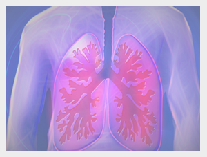 Obraz fragmentu płuc